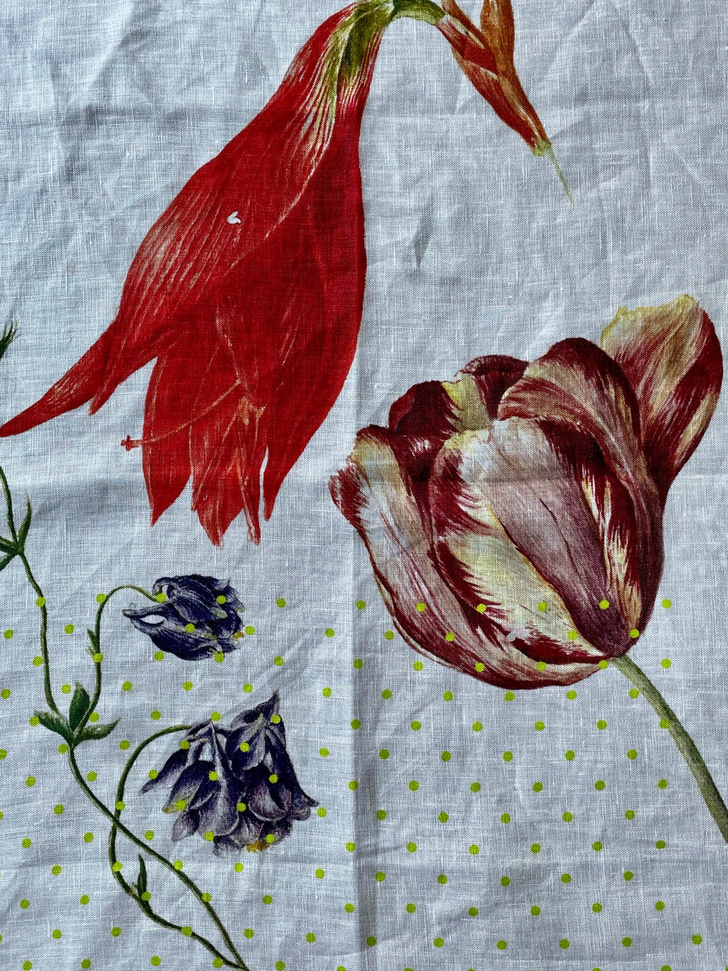 "Tulip" Tea Towel by Hellen van Berkel