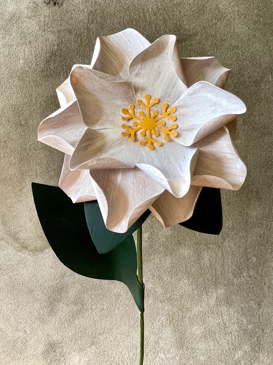 Saved NY Paper "Magnolia"