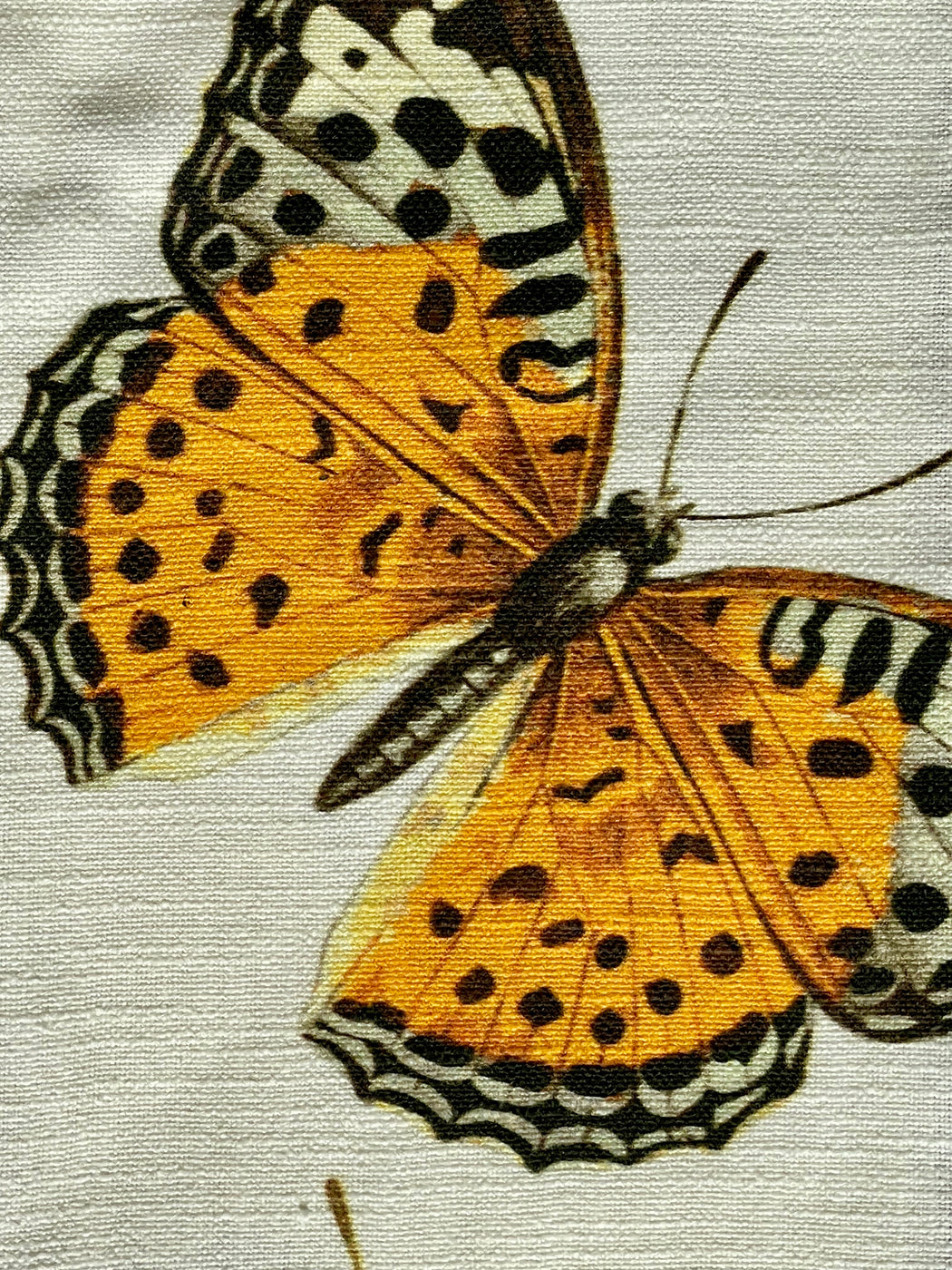 "Butterfly" Piped Tea Towel by Thomas Paul