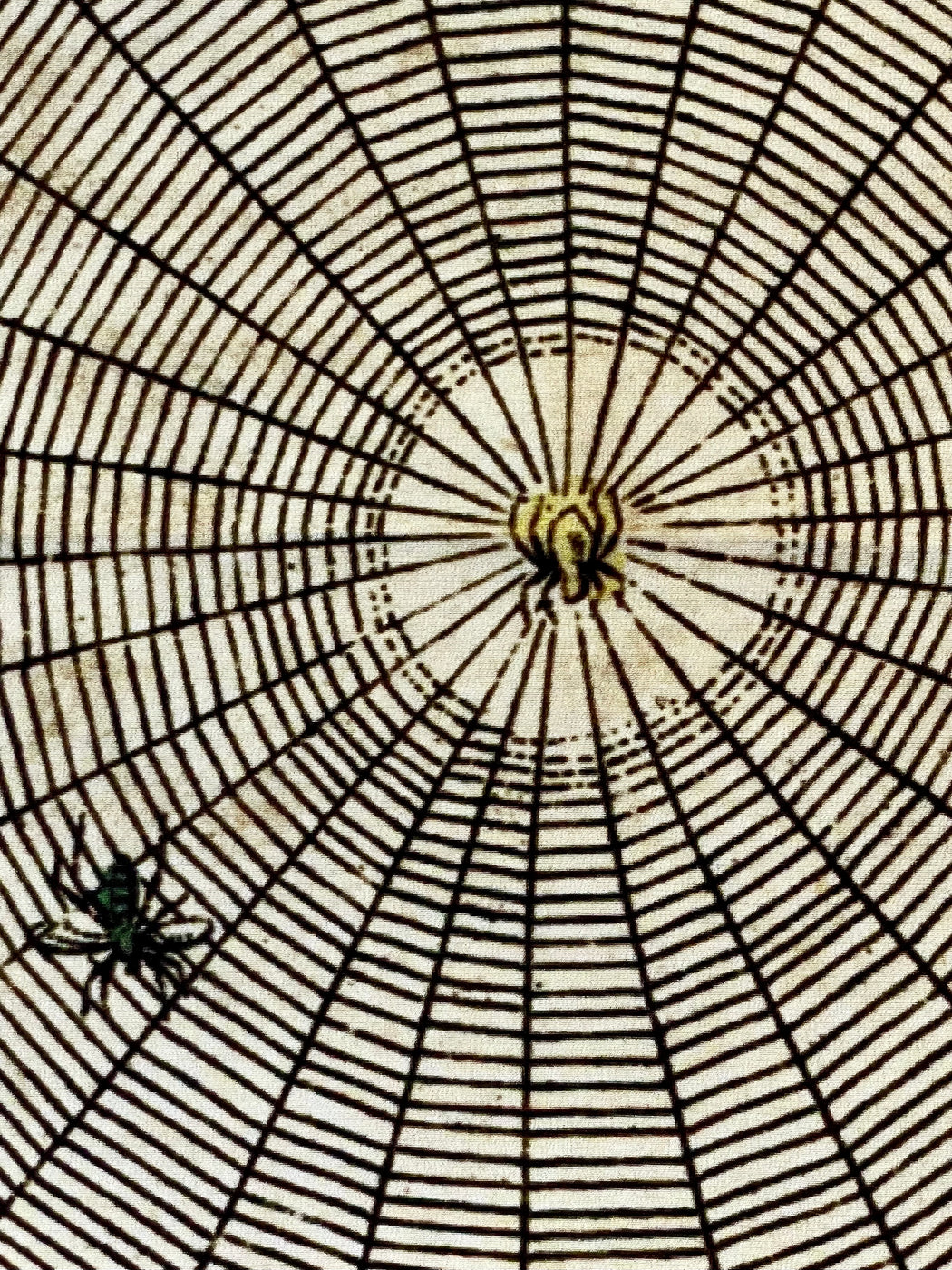 "Spider Web" Silk Pocket Square by John Derian