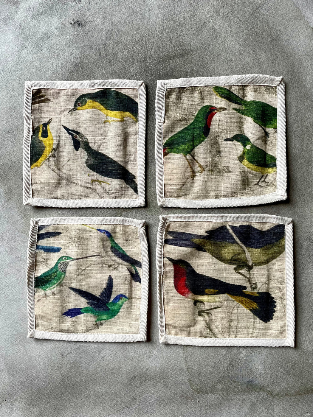 "Orinthology" Cocktail Napkins by Siren Song